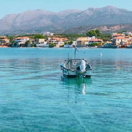 Κατοικία 80 Τ.Μ. Δίπλα Από Την Θάλασσα Στην Ελιά. Elia  外观 照片